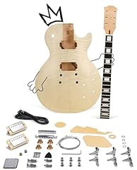 Diy electric guitar for sale  Delivered anywhere in USA 