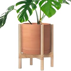 Vine dev terracotta for sale  Delivered anywhere in USA 