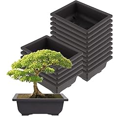 ZEONHEI 15 vasi da allenamento grandi per bonsai, 22,5 x 16,5 x 7,5 cm, in plastica, per giardino, cortile, soggiorno, balcone, piante in vaso usato  Spedito ovunque in Italia 