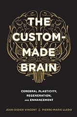Custom made brain for sale  Delivered anywhere in UK