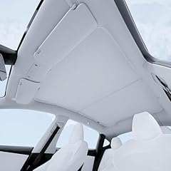 Vion tesla 2026 d'occasion  Livré partout en France