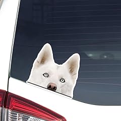 Realistic white husky for sale  Delivered anywhere in USA 