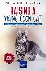 Raising maine coon for sale  Delivered anywhere in USA 