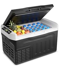 Feelfunn car fridge for sale  Delivered anywhere in USA 