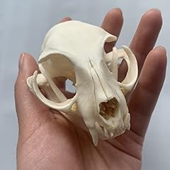 Lehrmodell werkzeuge exquisite gebraucht kaufen  Wird an jeden Ort in Deutschland