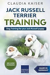 Jack russell terrier d'occasion  Livré partout en France