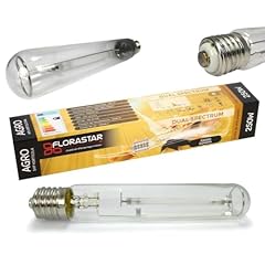 Lampadina hps 250 usato  Spedito ovunque in Italia 