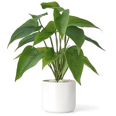 Mkono fake plants for sale  Delivered anywhere in USA 