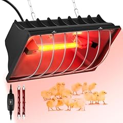 Heat lamp chickens for sale  Delivered anywhere in USA 