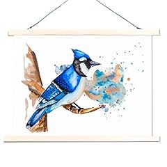 Blue jay bird for sale  Delivered anywhere in Canada