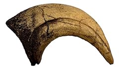 Velociraptor claw replica for sale  Delivered anywhere in USA 
