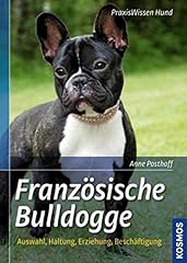 Französische bulldogge auswah gebraucht kaufen  Wird an jeden Ort in Deutschland