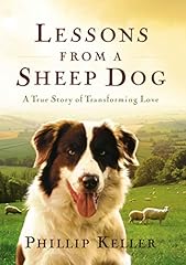Lessons sheep dog for sale  Delivered anywhere in USA 