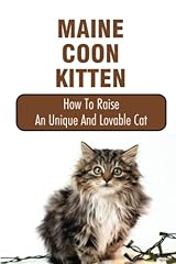 Maine coon kitten for sale  Delivered anywhere in USA 