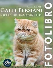 Gatti persiani fotolibro usato  Spedito ovunque in Italia 