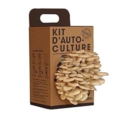 Resetea kit auto d'occasion  Livré partout en France