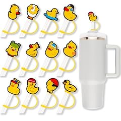 Sodwinco 12pcs duck for sale  Delivered anywhere in USA 