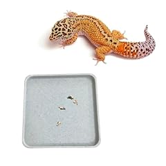Spansee leopard gecko for sale  Delivered anywhere in USA 