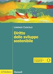 Diritto dello sviluppo usato  Spedito ovunque in Italia 