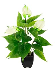 Künstliche anthurium pflanze gebraucht kaufen  Wird an jeden Ort in Deutschland