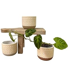 Admired nature set for sale  Delivered anywhere in USA 