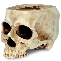 Readaeer skull bowl for sale  Delivered anywhere in USA 