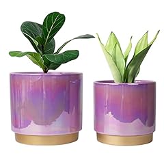 Yqslysf ceramic planter for sale  Delivered anywhere in USA 