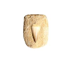 Real mosasaurus tooth for sale  Delivered anywhere in USA 