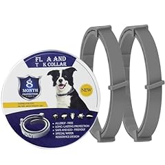 Pack collar dog for sale  Delivered anywhere in UK