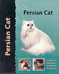 Persian cat for sale  Delivered anywhere in UK