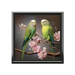 Pair parakeets budgies for sale  Delivered anywhere in USA 