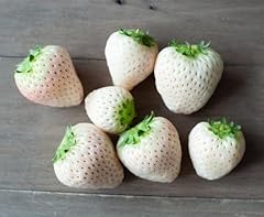 White strawberry plants for sale  Delivered anywhere in USA 