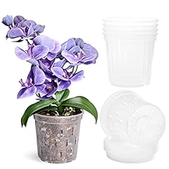 Truedays pack orchid for sale  Delivered anywhere in USA 
