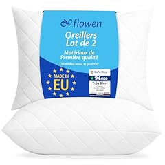 Oreiller 40x70 lot d'occasion  Livré partout en France