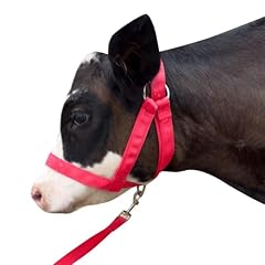 Cow halter cattle for sale  Delivered anywhere in UK