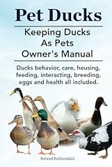 Pet ducks. keeping for sale  Delivered anywhere in UK