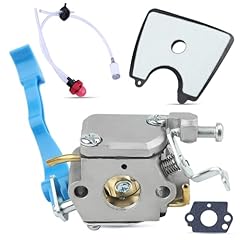 Kit carburatore per usato  Spedito ovunque in Italia 