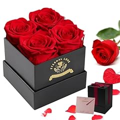 Nietiy rose flower for sale  Delivered anywhere in USA 