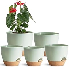 Indoor plant pots for sale  Delivered anywhere in USA 