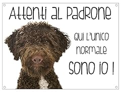 Cartello cane lagotto usato  Spedito ovunque in Italia 