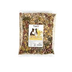 Standard guinea pig usato  Spedito ovunque in Italia 