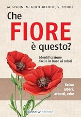 Che fiore questo usato  Spedito ovunque in Italia 
