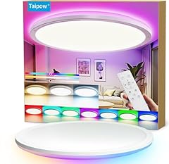 Taipow led deckenleuchte gebraucht kaufen  Wird an jeden Ort in Deutschland