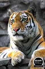 Siberian tiger lined for sale  Delivered anywhere in UK