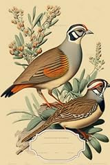Chukar partridge bird for sale  Delivered anywhere in USA 