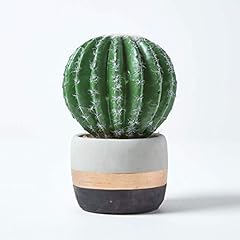 Homescapes petit cactus d'occasion  Livré partout en France
