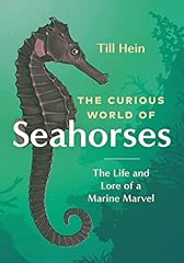 Curious seahorses life for sale  Delivered anywhere in UK