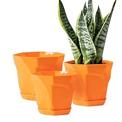 Sun plant pots for sale  Delivered anywhere in UK