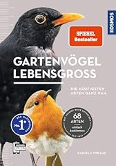 Gartenvögel lebensgroß leben gebraucht kaufen  Wird an jeden Ort in Deutschland