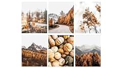 Fall nature wall for sale  Delivered anywhere in USA 
